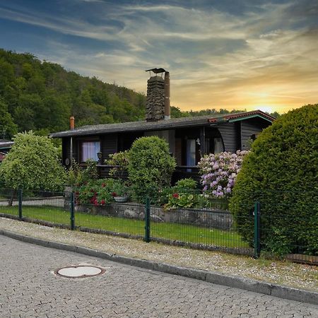 Ferienblockhaus Harzidyll Lägenhet Wieda Exteriör bild